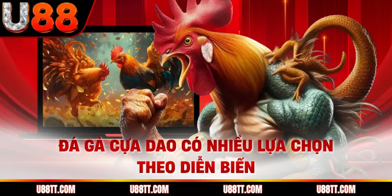Đá gà cựa dao có nhiều lựa chọn theo diễn biến