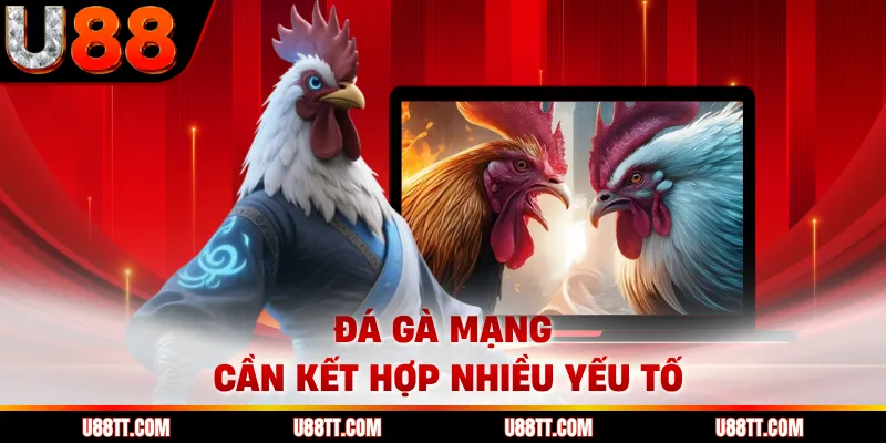Đá gà mạng cần kết hợp nhiều yếu tố