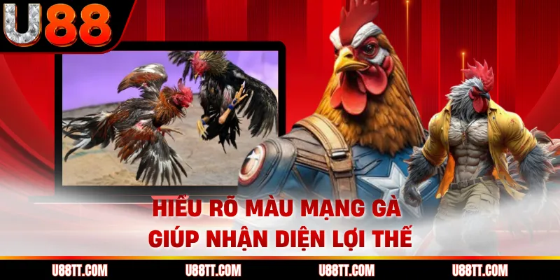 Hiểu rõ màu mạng gà giúp nhận diện lợi thế