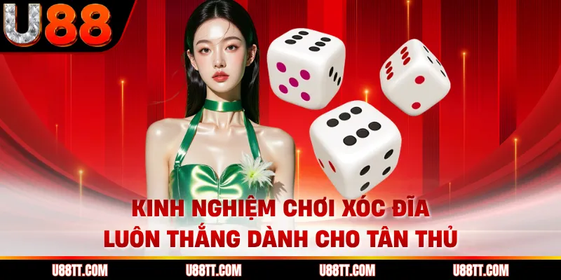 Kinh Nghiệm Chơi Xóc Đĩa Luôn Thắng Dành Cho Tân Thủ