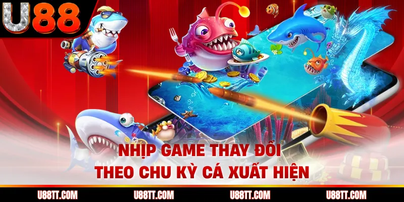 Nhịp game thay đổi theo chu kỳ cá xuất hiện