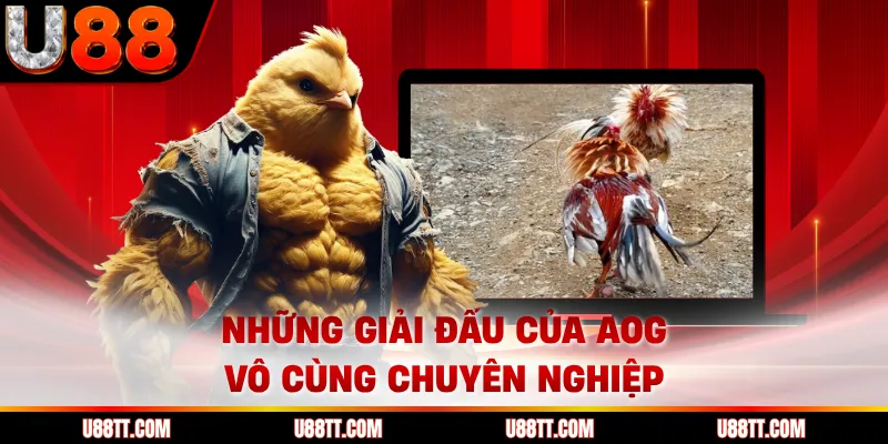 Những giải đấu của AOG vô cùng chuyên nghiệp