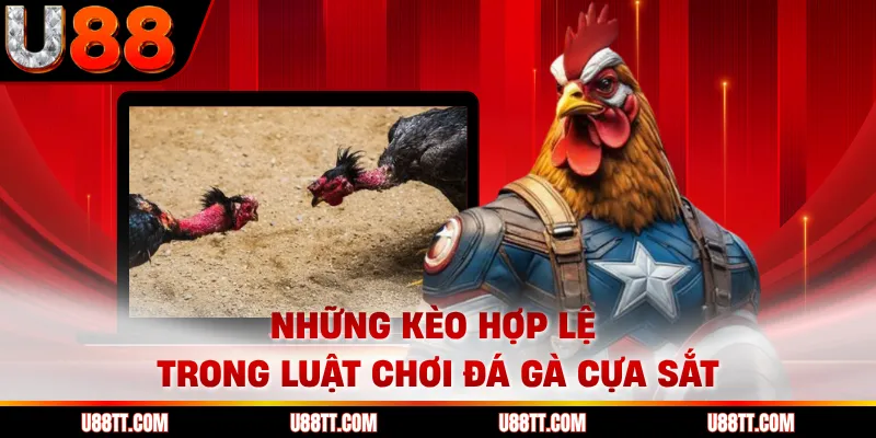 Những kèo hợp lệ trong luật chơi đá gà cựa sắt 