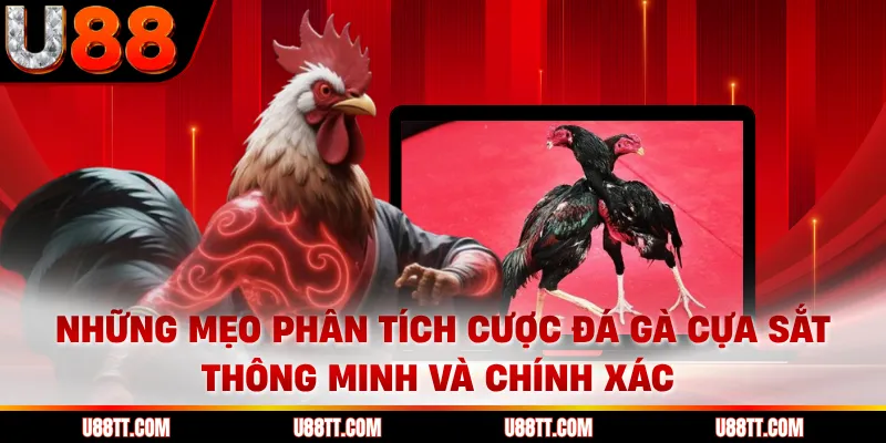 Những mẹo phân tích cược đá gà cựa sắt thông minh và chính xác 