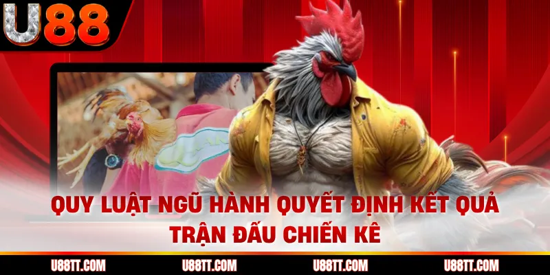 Quy luật ngũ hành quyết định kết quả trận đấu chiến kê