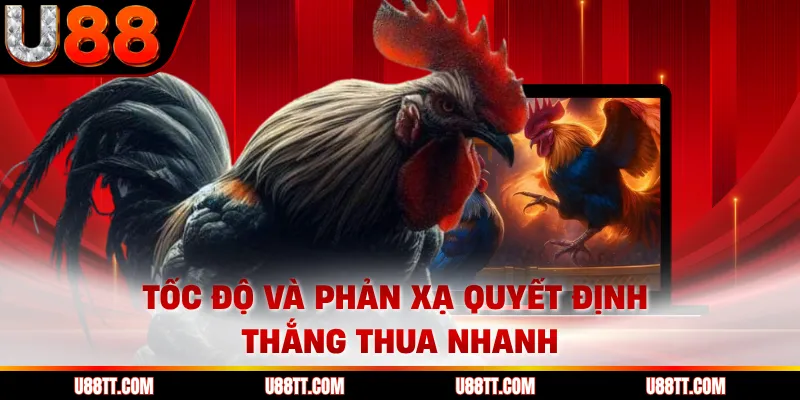 Tốc độ và phản xạ quyết định thắng thua nhanh