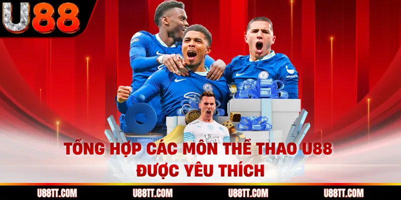 Tổng hợp các môn thể thao U88 được yêu thích