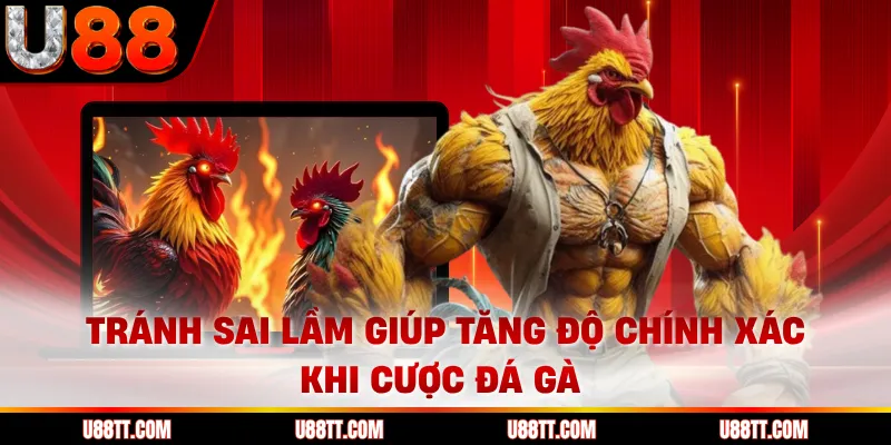 Tránh sai lầm giúp tăng độ chính xác khi cược đá gà